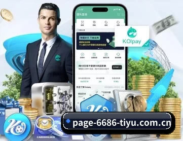 6686体育 APP