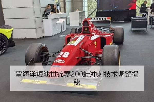 覃海洋短池世锦赛200蛙冲刺技术调整揭秘