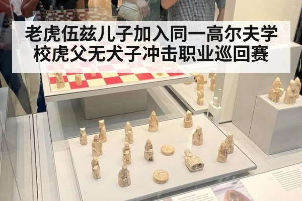 老虎伍兹儿子加入同一高尔夫学校虎父无犬子冲击职业巡回赛